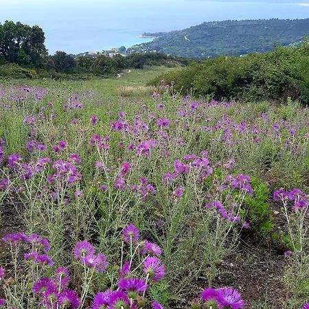 Massacan-vue Vendégház